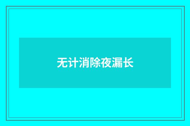 无计消除夜漏长