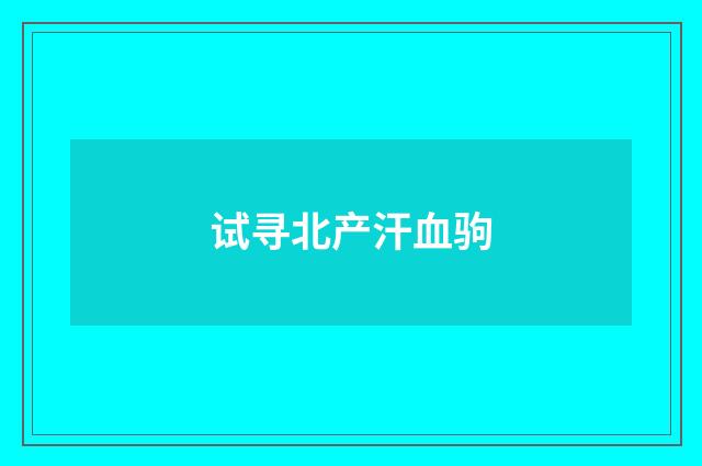 试寻北产汗血驹