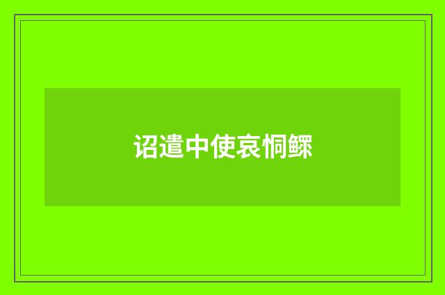 诏遣中使哀恫鳏