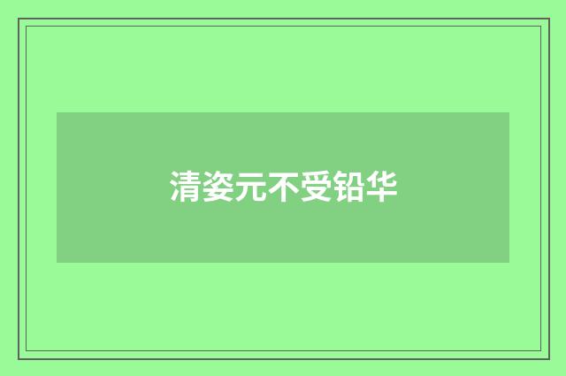 清姿元不受铅华