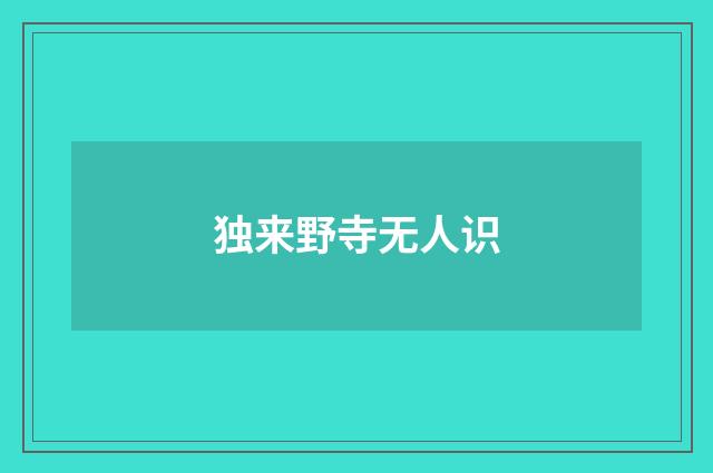 独来野寺无人识