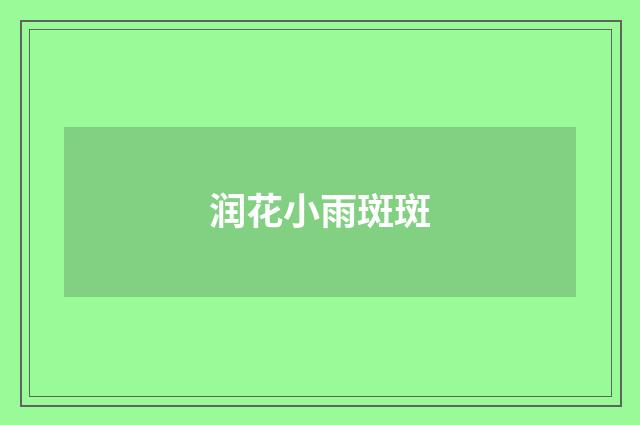润花小雨斑斑