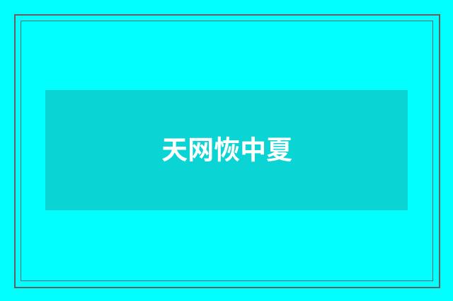 天网恢中夏