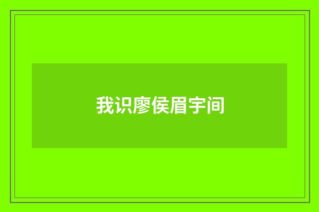 我识廖侯眉宇间