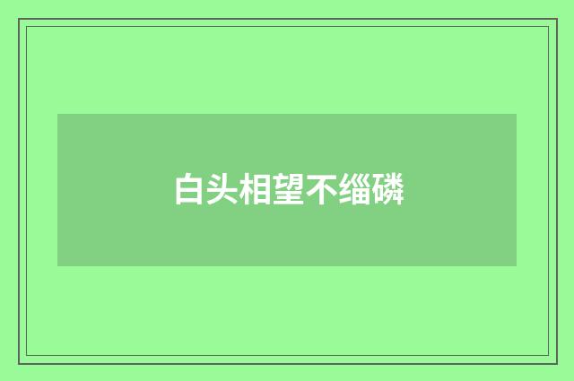 白头相望不缁磷