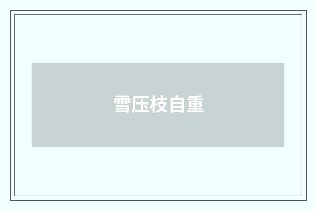 雪压枝自重