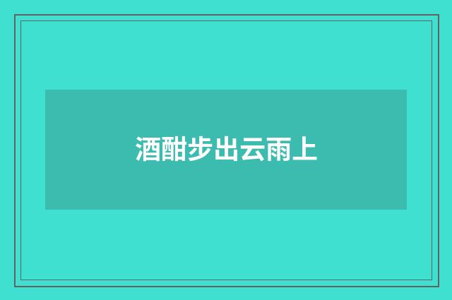 酒酣步出云雨上