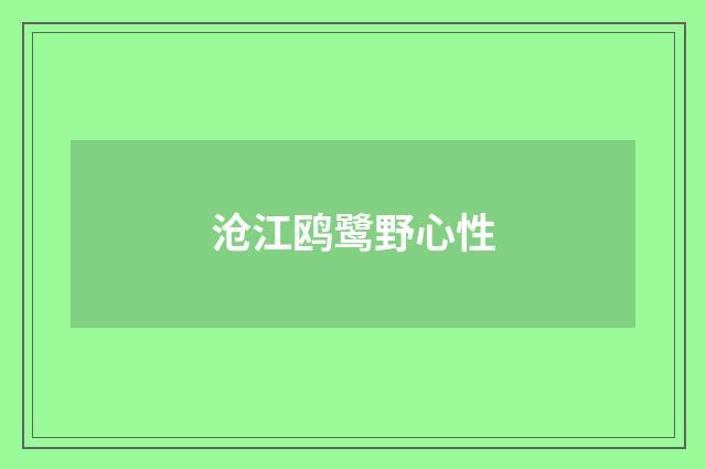 沧江鸥鹭野心性