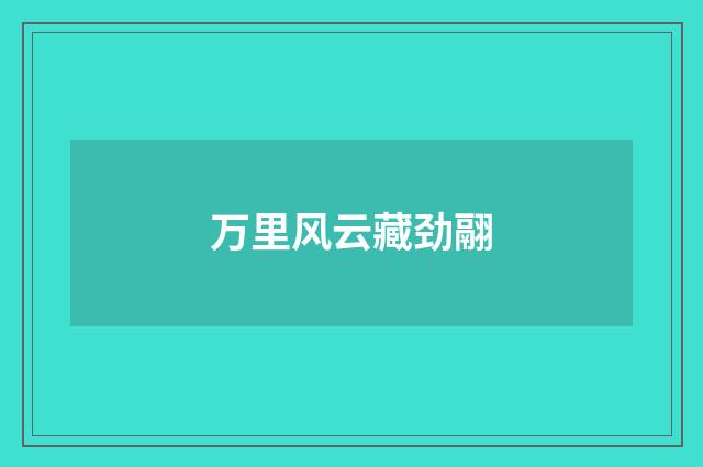 万里风云藏劲翮