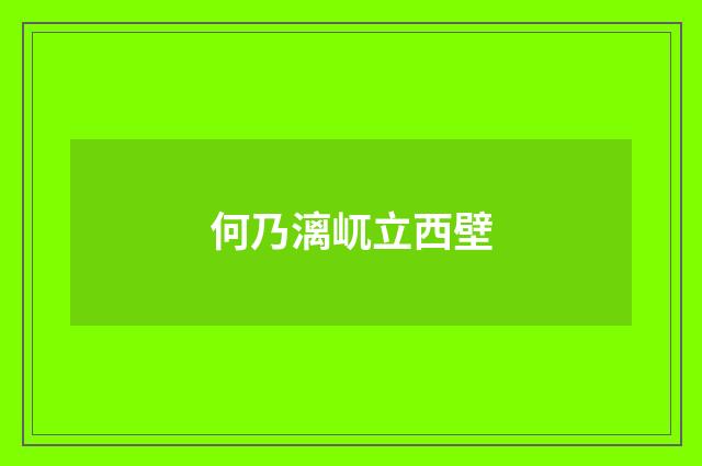 何乃漓屼立西壁
