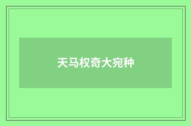 天马权奇大宛种