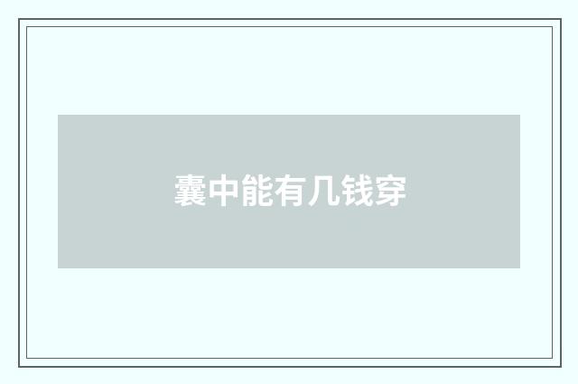 囊中能有几钱穿