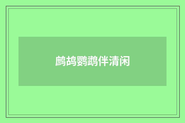 鹧鸪鹦鹉伴清闲