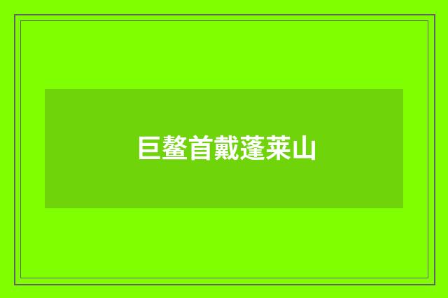 巨鳌首戴蓬莱山