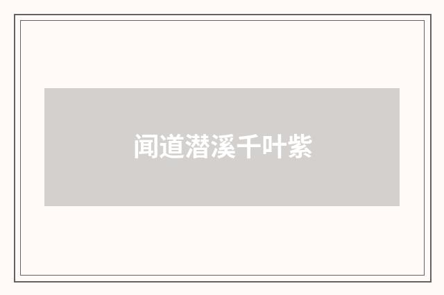 闻道潜溪千叶紫