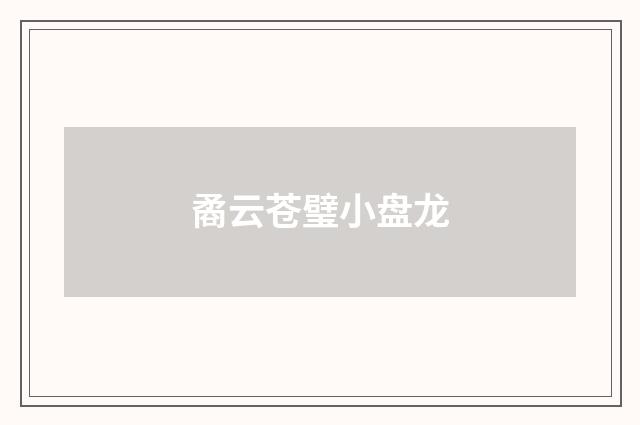 矞云苍璧小盘龙