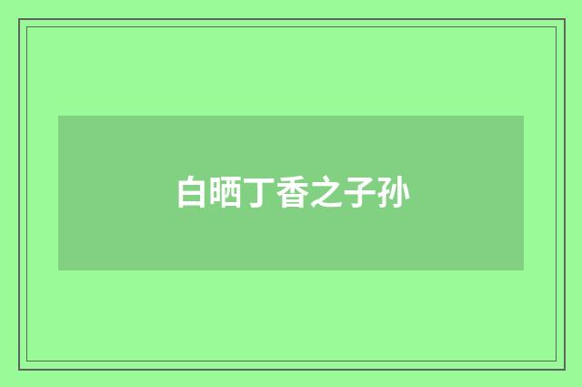 白晒丁香之子孙