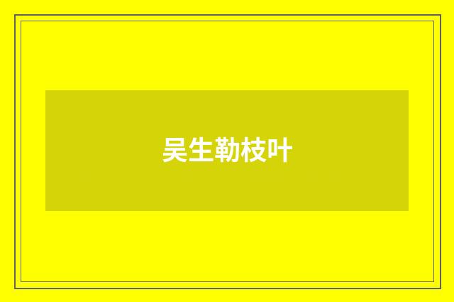 吴生勒枝叶