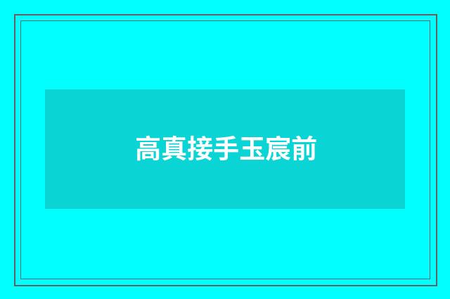 高真接手玉宸前