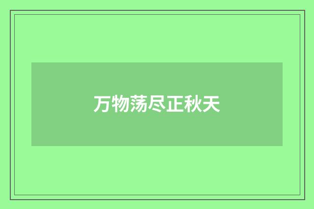 万物荡尽正秋天