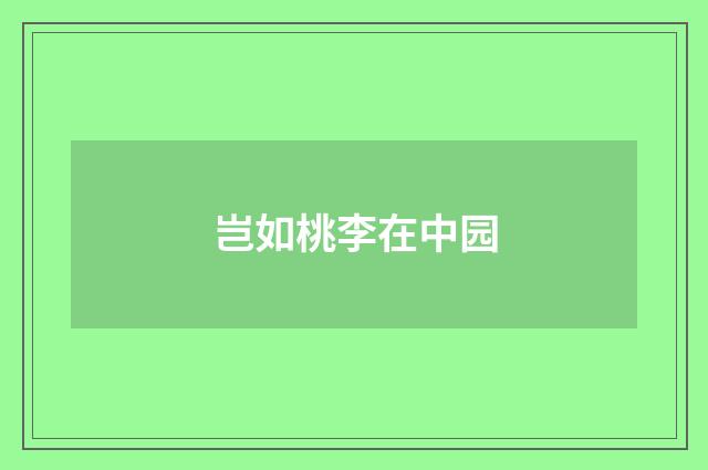 岂如桃李在中园