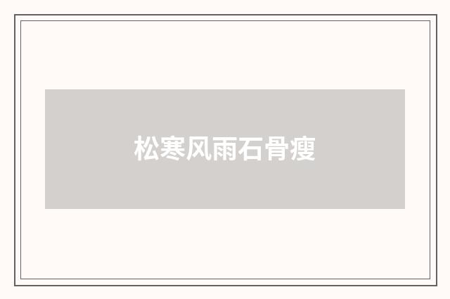 松寒风雨石骨瘦