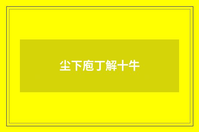 尘下庖丁解十牛