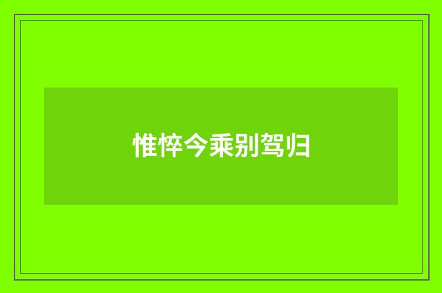 惟悴今乘别驾归