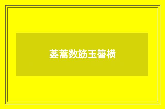 蒌蒿数筯玉簪横