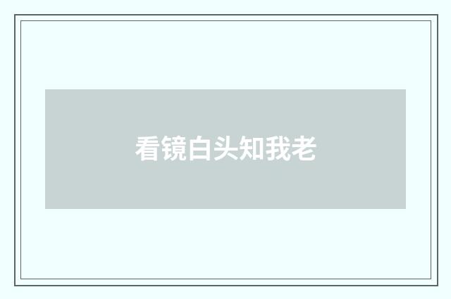 看镜白头知我老