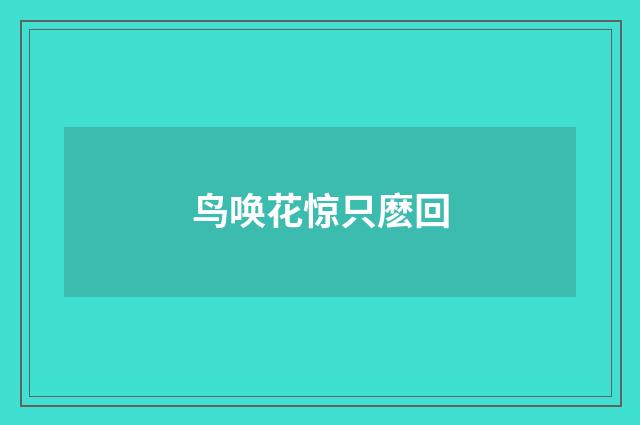 鸟唤花惊只麽回