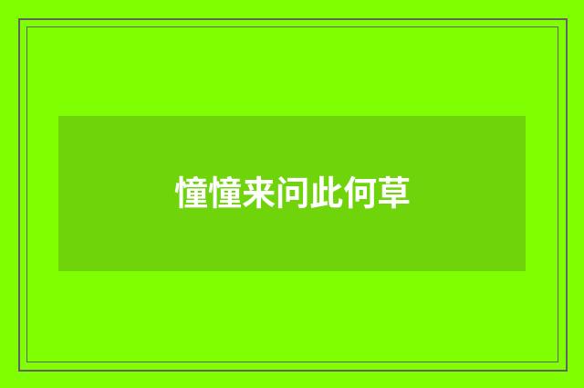 憧憧来问此何草