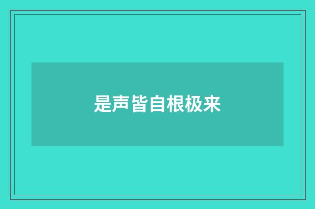 是声皆自根极来