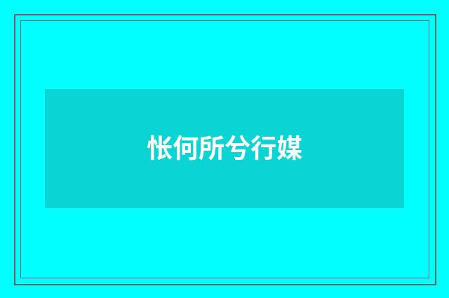 怅何所兮行媒