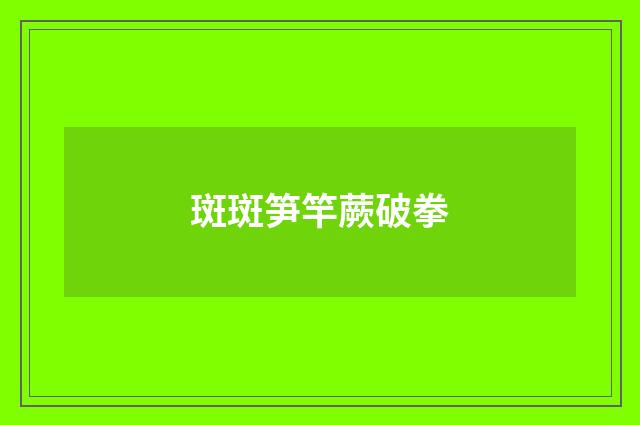 斑斑笋竿蕨破拳