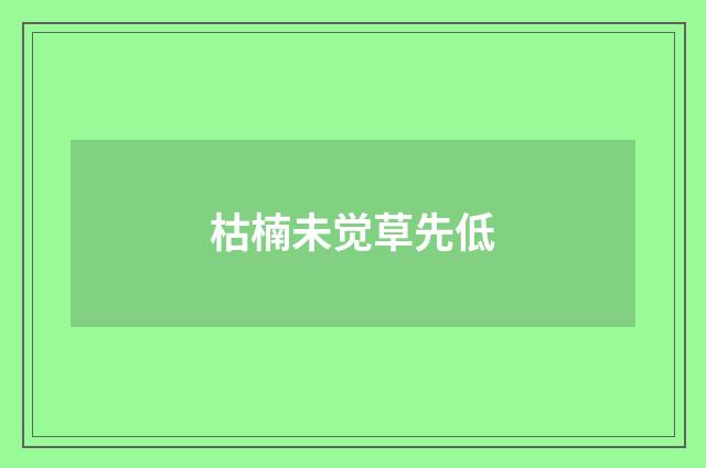 枯楠未觉草先低