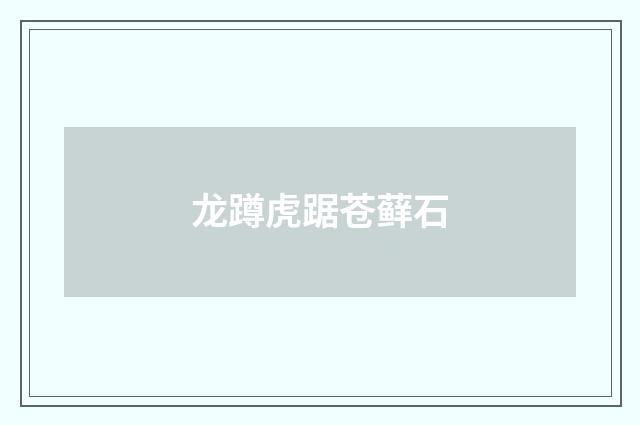 龙蹲虎踞苍藓石