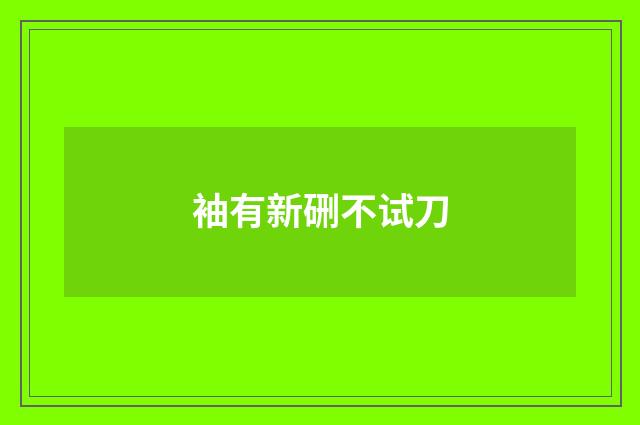 袖有新硎不试刀