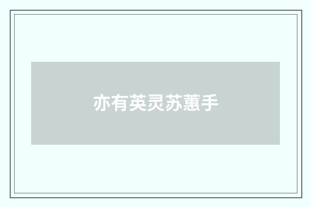 亦有英灵苏蕙手