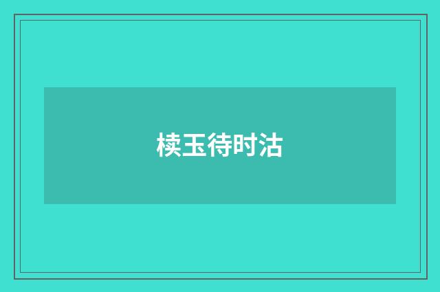 椟玉待时沽