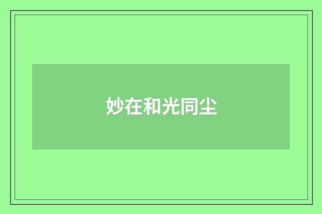 妙在和光同尘