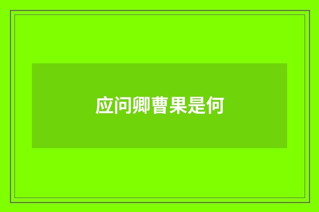 应问卿曹果是何