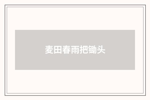 麦田春雨把锄头
