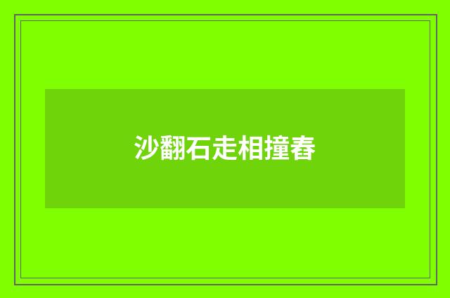 沙翻石走相撞舂