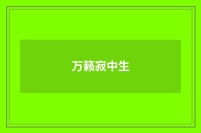 万籁寂中生