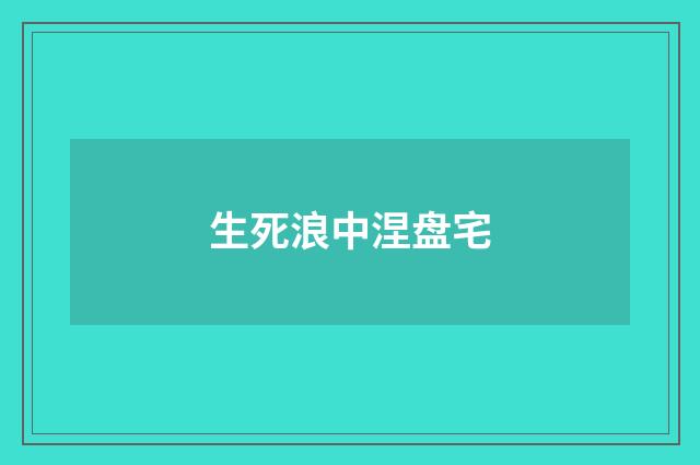 生死浪中涅盘宅