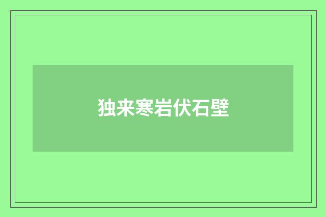 独来寒岩伏石壁