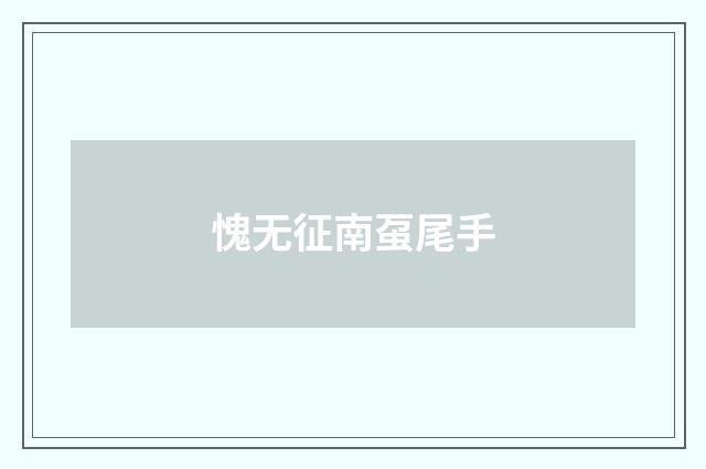 愧无征南虿尾手