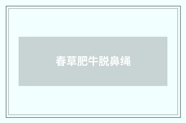 春草肥牛脱鼻绳