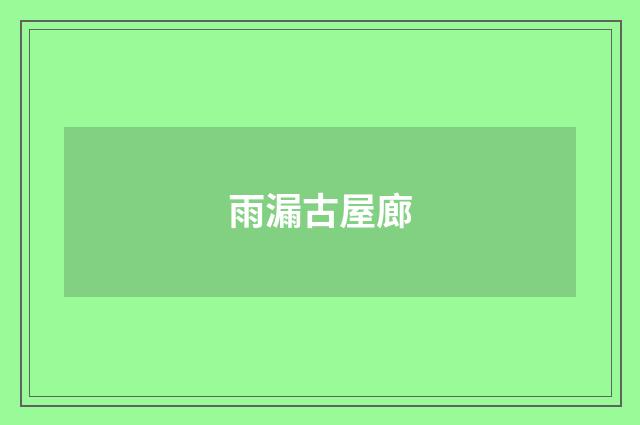 雨漏古屋廊
